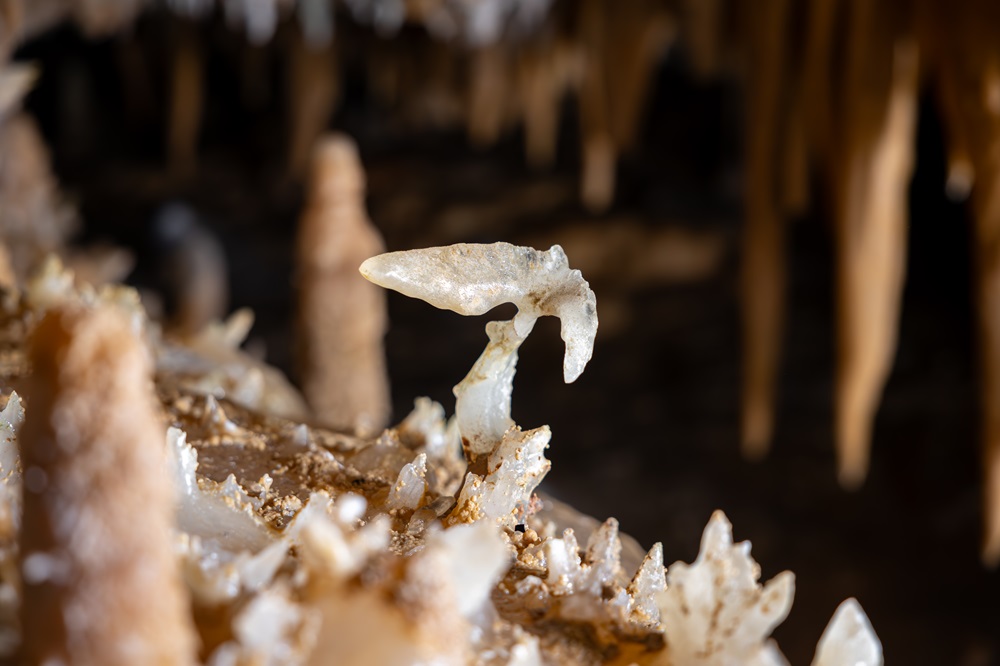 Grotte du Grand Roc